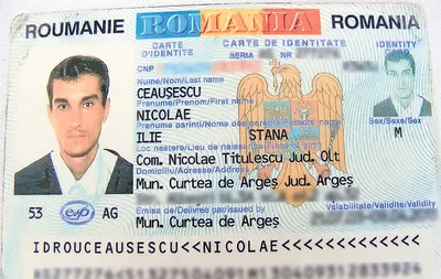 Румынского паспорта фото