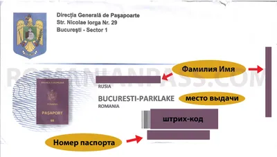 Как получить румынский паспорт: оформление гражданства Румынии за 1-1,5 года