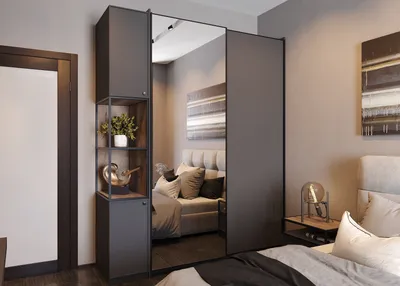Дизайн шкаф-купе в интерьере прихожей, спальни - 20 реальных фото | Mr.Doors