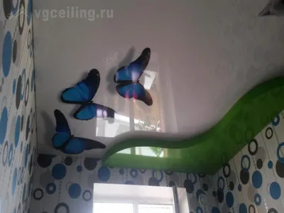 Натяжные потолки 3D в Екатеринбурге