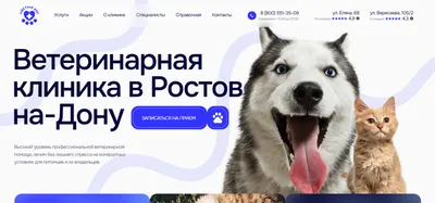 Ветеринарная клиника в Ростове-на-Дону — заВЕТный друг