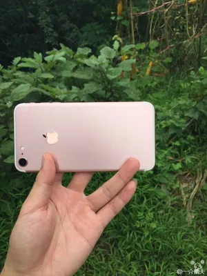 Живые фотографии смартфона Apple iPhone 7 свидетельствуют о незначительных  изменениях в дизайне и использовании двойной камеры в iPhone 7 Plus - ITC.ua