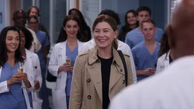 Grey's Anatomy' Season 20: Release Date, Cast, Episode News