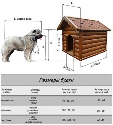 Будка для собаки хаски чертежи (53 фото) - картинки sobakovod.club