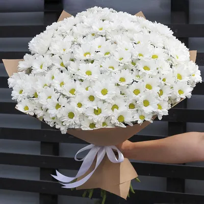 Букет из хризантем 25 веток, Flowers \u0026 Gifts Tolyatti, buy at a price of  11300 RUB, Mono Bouquets on Lady Fleur with delivery | Flowwow