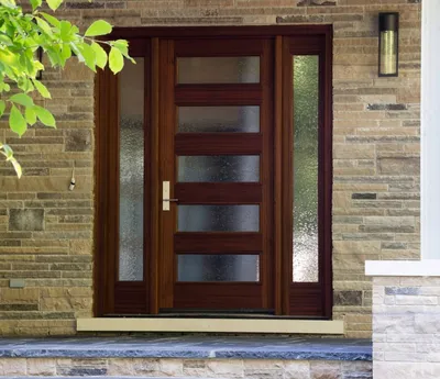 Стеклянная входная дверь: деревянная, металлическая, железная, кованная с  вставками из стекла
