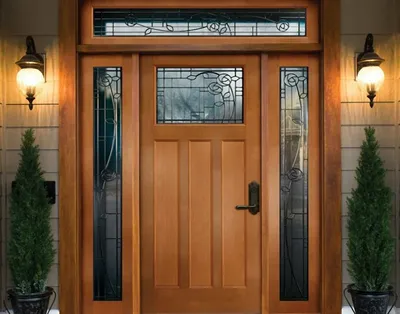 Стеклянная дверь в дом - входная металлическая
