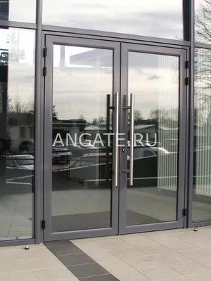 Стеклянные распашные входные двери | Angate