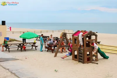 Затока: как выглядит с высоты самый популярный морской курорт Украины в  Одесской области (ФОТО, ВИДЕО) | Одеський Кур'єр