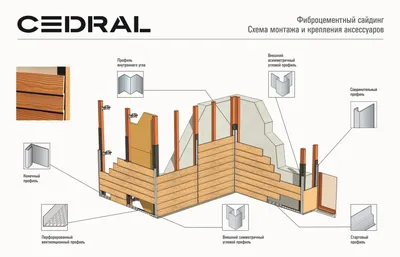 Cedral | Anikum