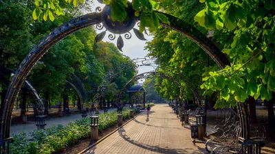 Парк кованых фигур в Донецке - оазис композиций из металла, фото