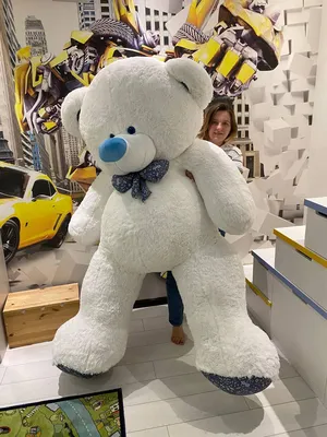 Большой плюшевый медведь 250 см белый, Мишки 2,5 метра, Большие мягкие  игрушки, Большой плюшевый медведь, цена 8103 грн — Prom.ua (ID#1453764765)