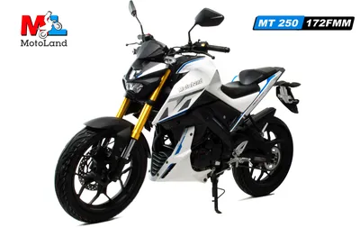 Купить Мотоцикл Motoland MT250 (172FMM-5/PR250)