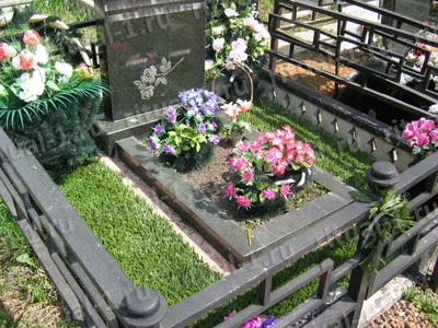 Укладка газона на могилу — газонная трава на кладбище в Москве