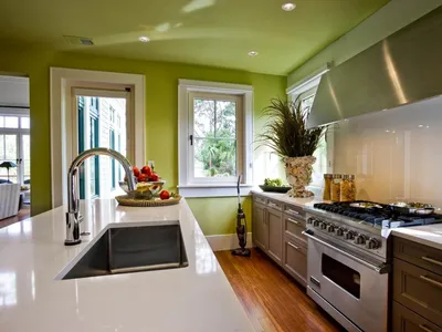 Потолок на кухне (30 фото в интерьере): 10 вариантов отделки, обзор лучших  идей и материалов