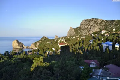 Крым, Симеиз - «Симеиз - это шикарная природа южного берега Крыма! Вот и  всё... Побывав в Симеизе, больше не поеду туда отдыхать» | отзывы