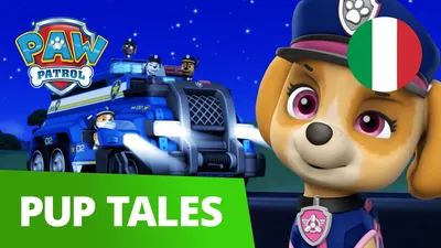 Книга с наклейками для развития детей Paw Patrol Щенячий патруль \"Щенки,  вперёд!\