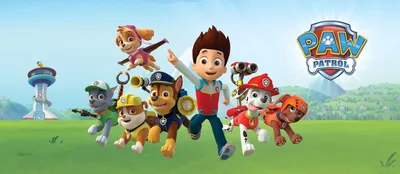 Игровой Набор Щенячий патруль - Paw Patrol \"Щенки приятели\" Гонщик,  Маршал,Скай,Крепыш,Рокки и Зума. | Играландия - интернет магазин игрушек