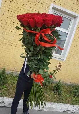 Купить большие длинные и гигантские розы в Москве с доставкой - 120, 150,  170 и 180 см