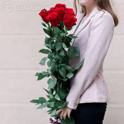 9 красных роз (Эквадор) 140 см Freedom купить в СПб в интернет-магазине  Семицветик✿