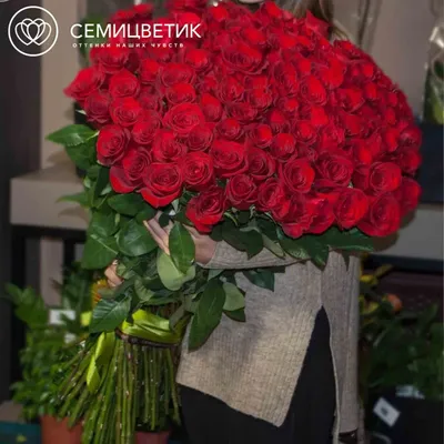 101 красная роза (Эквадор) 100 см Freedom купить в СПб в интернет-магазине  Семицветик✿