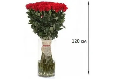 Розы длинные большие, высота 1.2 метра 35 шт. Высокий букет на длинной  ножке.