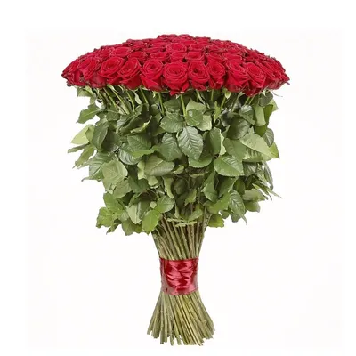 Букеты из роз : Длинные розы 110-120 см