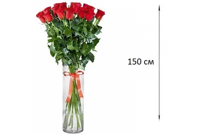 Розы длинные большие, высота 1.5 метра 19 шт. Высокий букет на длинной  ножке розы 150 см.
