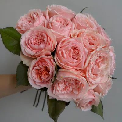 Большие розы купить в Москве букеты крупных роз c доставкой недорого по  цене магазина Во имя розы