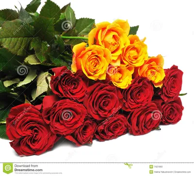 большие розы букета стоковое изображение. изображение насчитывающей  ботаническую - 7421993