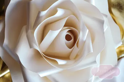 Большие розы из дизайнерской бумаги • PaperLand - мир цветов из бумаги