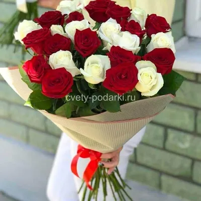 Букет 29 красных и белых роз в упаковке заказать с доставкой по цене 5 420  руб. в Ставрополе