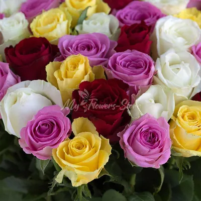 Купить Букет из 29 роз микс цвет в Москве! из Рижского рынка