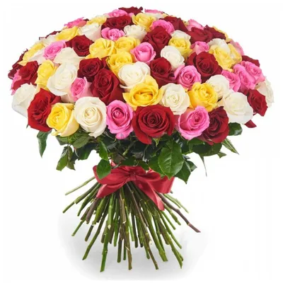 Букет из 29 роз: белых, красных, желтых и “Аква” — купить в  интернет-магазине по низкой цене на Яндекс Маркете