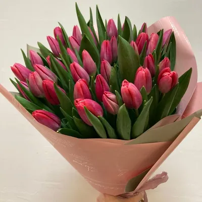 Букет 35 красных тюльпанов - Доставкой цветов в Москве! 41765 товаров! Цены  от 487 руб. Цветы Тут