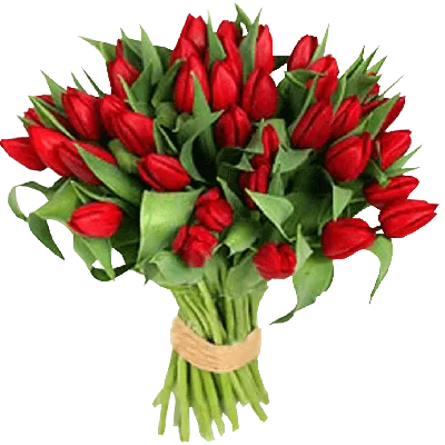 Букет тюльпанов «Красные тюльпаны» купить за 2825 рублей с доставкой по  Екатеринбургу