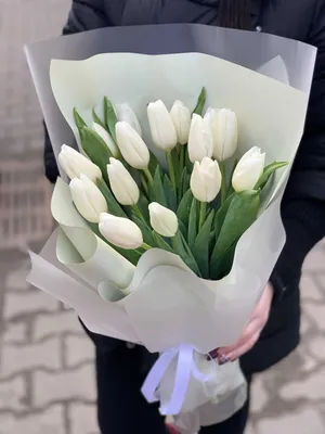 Купить Букет тюльпанов Т35 в Бресте | Говорящие цветы
