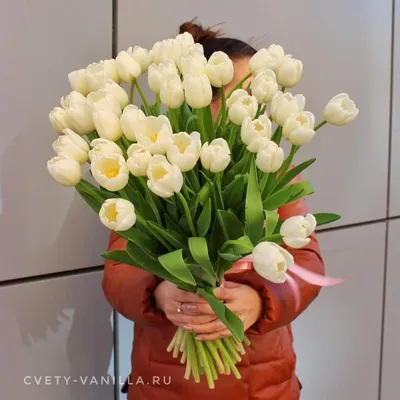 Купить Букет тюльпанов из 45 штук с доставкой в Краснодаре | Vanilla