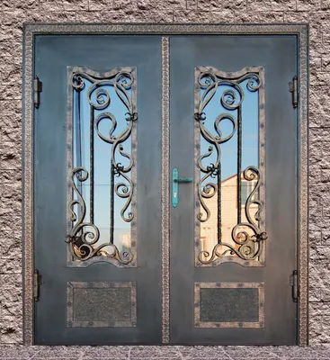 Кованая дверь в Николаеве, двери с ковкой под заказ