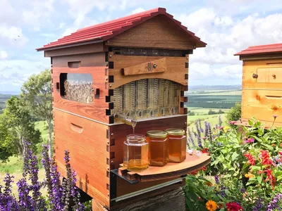 Домик для пчел - 54 фото