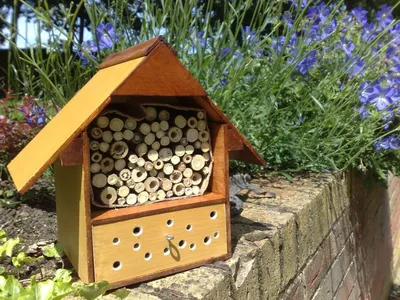 Отель для жуков — садовый домик для полезных насекомых. Как сделать своими  руками. Фото — Ботаничка