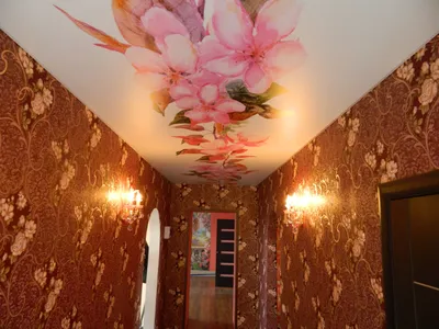 Натяжной потолок в коридор с рисунком - 74 фото