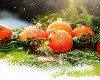 Фото Новогодние шарики оранжевого цвета на еловых ветках под падающими  снежинками