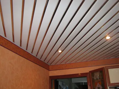 Пластиковый потолок в кухне фото