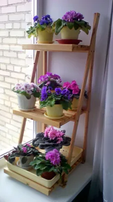 Подставки для цветов своими руками | Столярный совет | Декор растений в  помещении, Подвесные цветочные горшки, Цветы в горшках