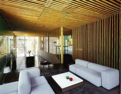Бамбуковый потолок - 75 фото