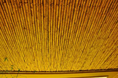 Особенности подвесного потолка из бамбука и его монтаж | Успешный хозяин ✓  | Дзен