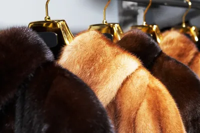 Ремонт меховых изделий, шуб, шапок, курток, подкладов и прочее в Томске |  Салон-ателье «Maglena»