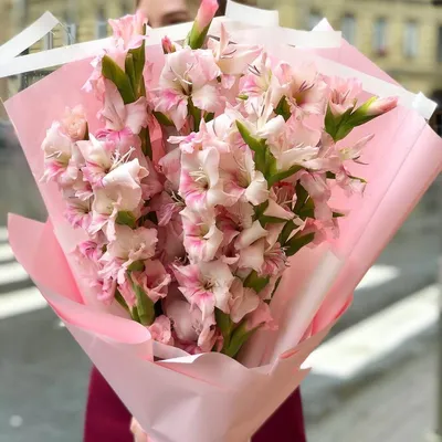 19 нежно-розовых гладиолусов в букете | Бесплатная доставка цветов по Москве
