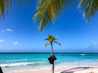Остров Саона 2020: экскурсии, пляжи, цены, настоящие фото